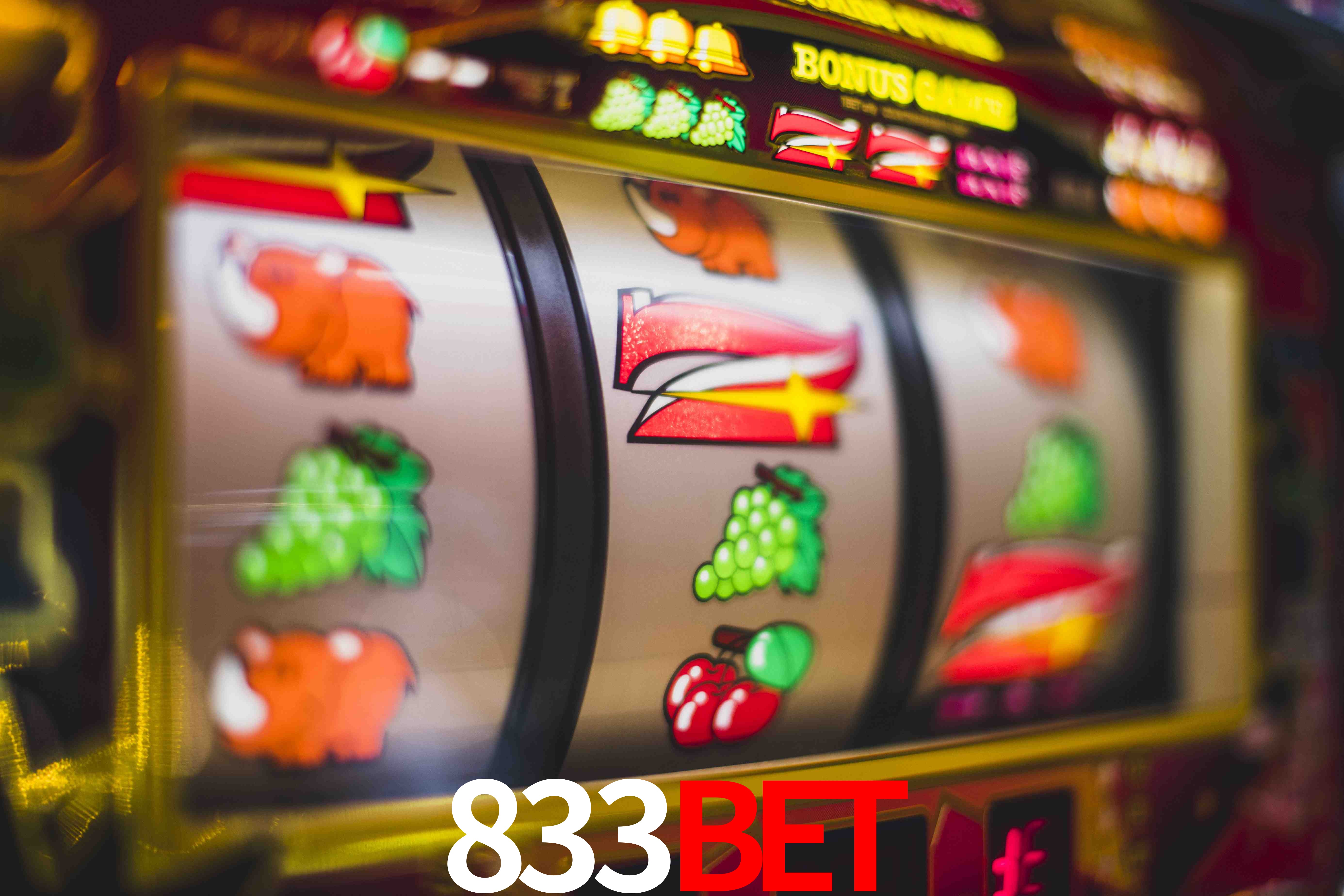 Statistics 833bet